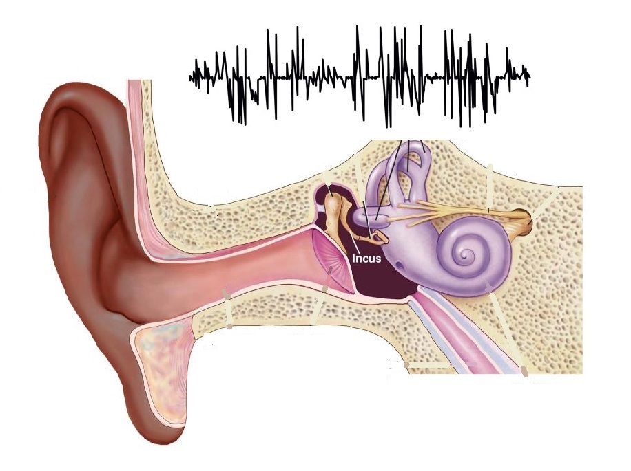 acupuncture Orillia for tinnitus